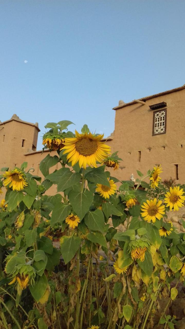 Kasbah Izoran Hotel Миделт Екстериор снимка