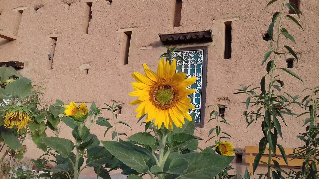 Kasbah Izoran Hotel Миделт Екстериор снимка