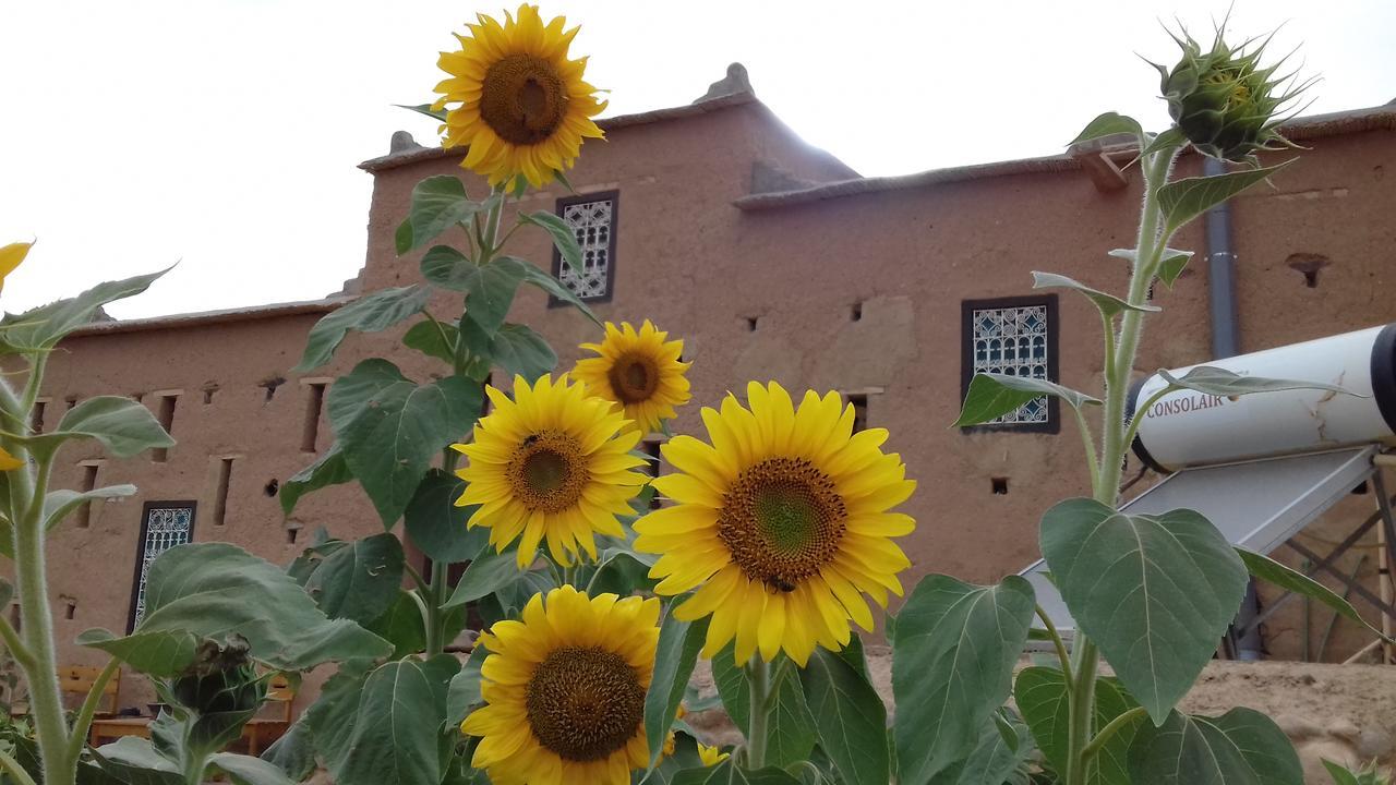 Kasbah Izoran Hotel Миделт Екстериор снимка